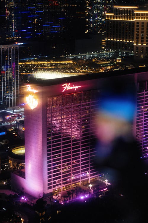 Jellybeancasino Permainan Live Terbaik 2026